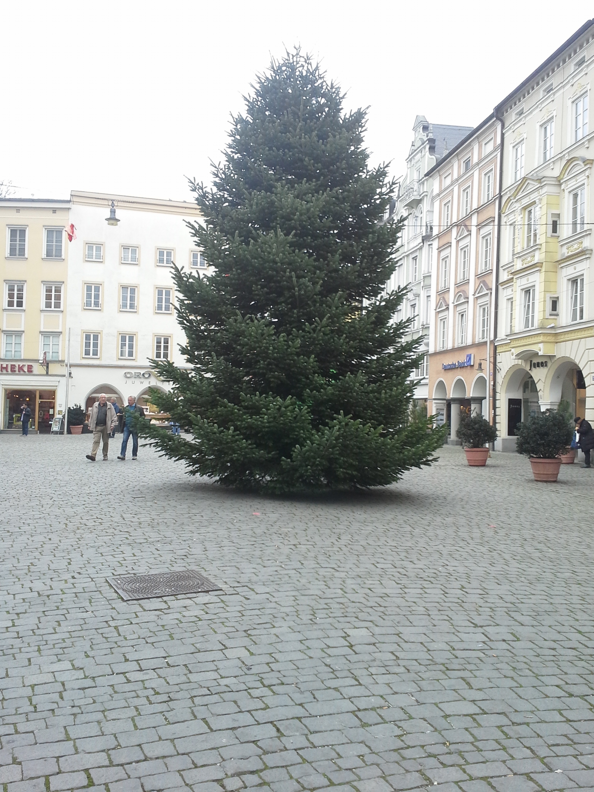 1113 Christbaum