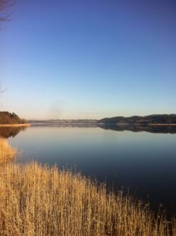 simssee am Morgen IK