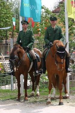 berittene polizei