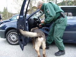 hundefuehrer bei pkw kontrolle