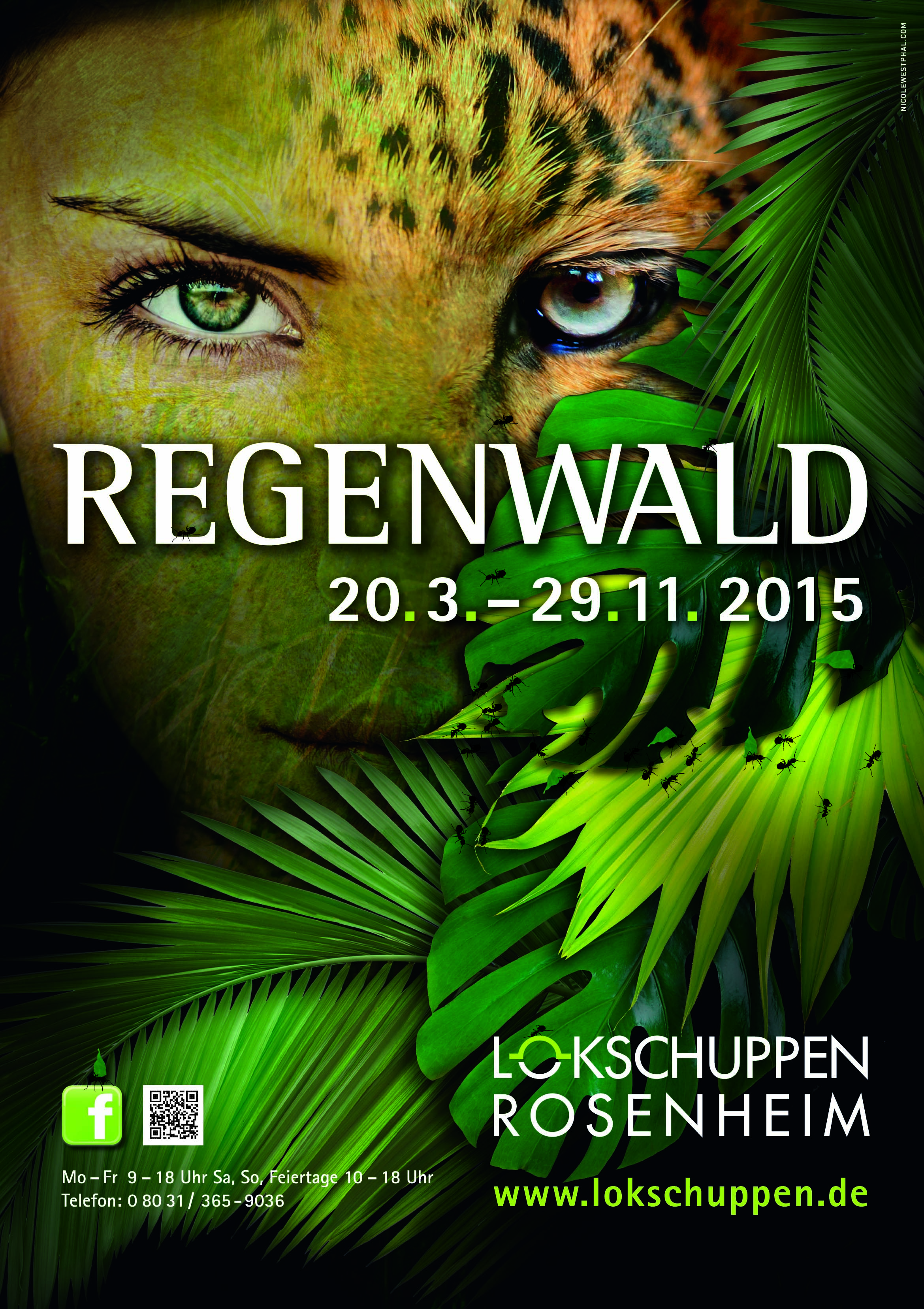 Regenwald Plakat A1