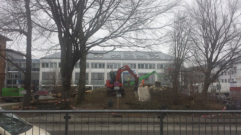 0218 Baumfällen