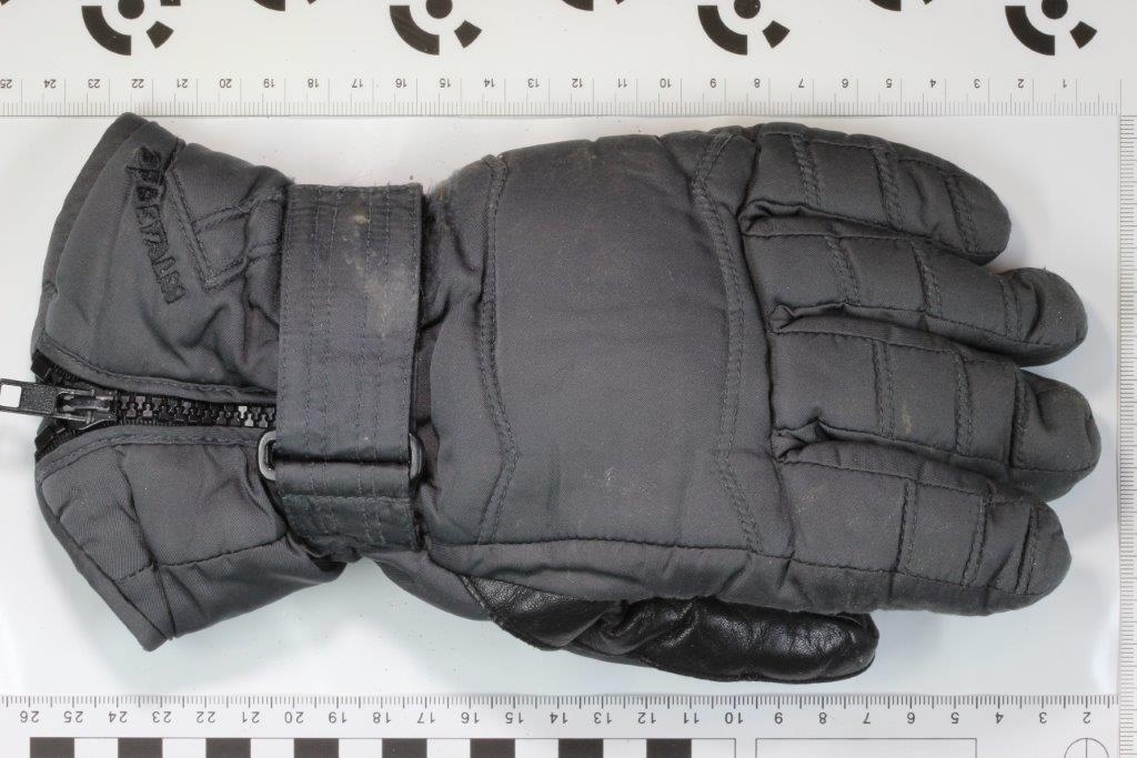 1202 Handschuh 2