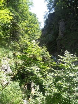 Schlucht